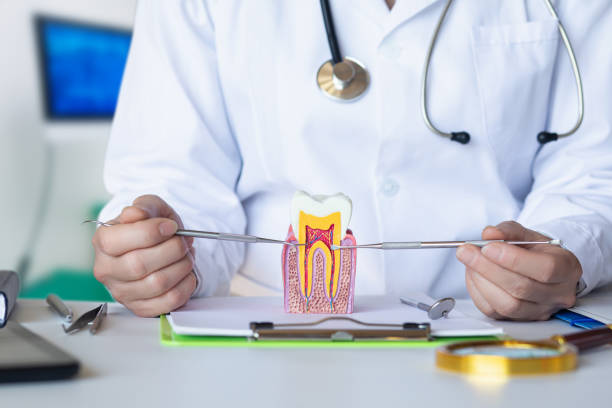 Best Broken or Cracked Tooth Emergency Dentist in Laurens, SC